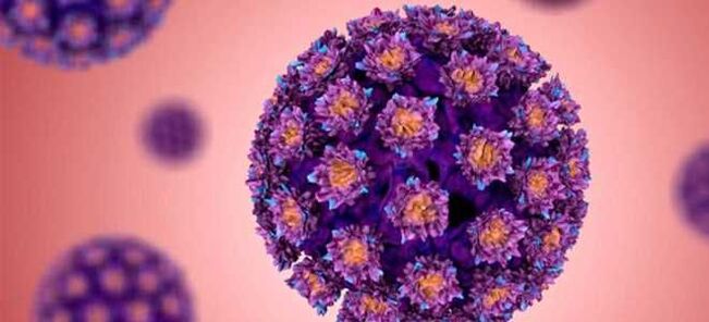 HPV – Humán papillomavírus